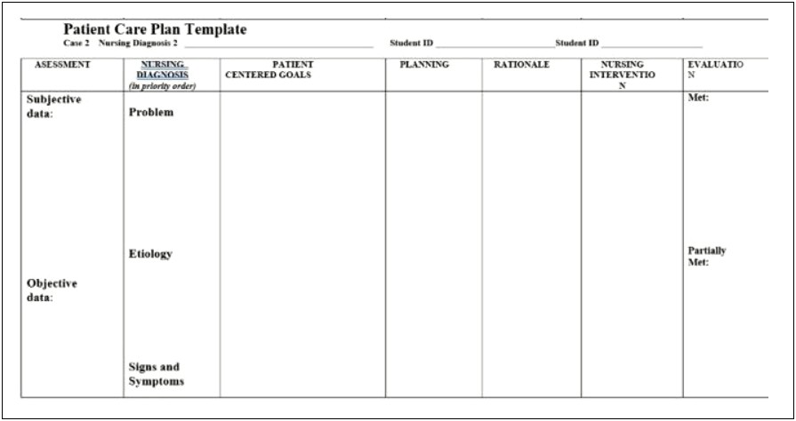 Care Plan Templates For Nursing Homes