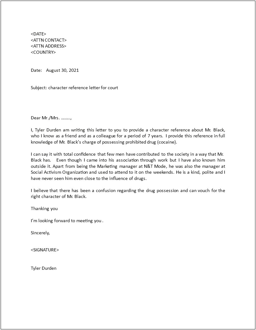 Character Letter For Child Custody Template