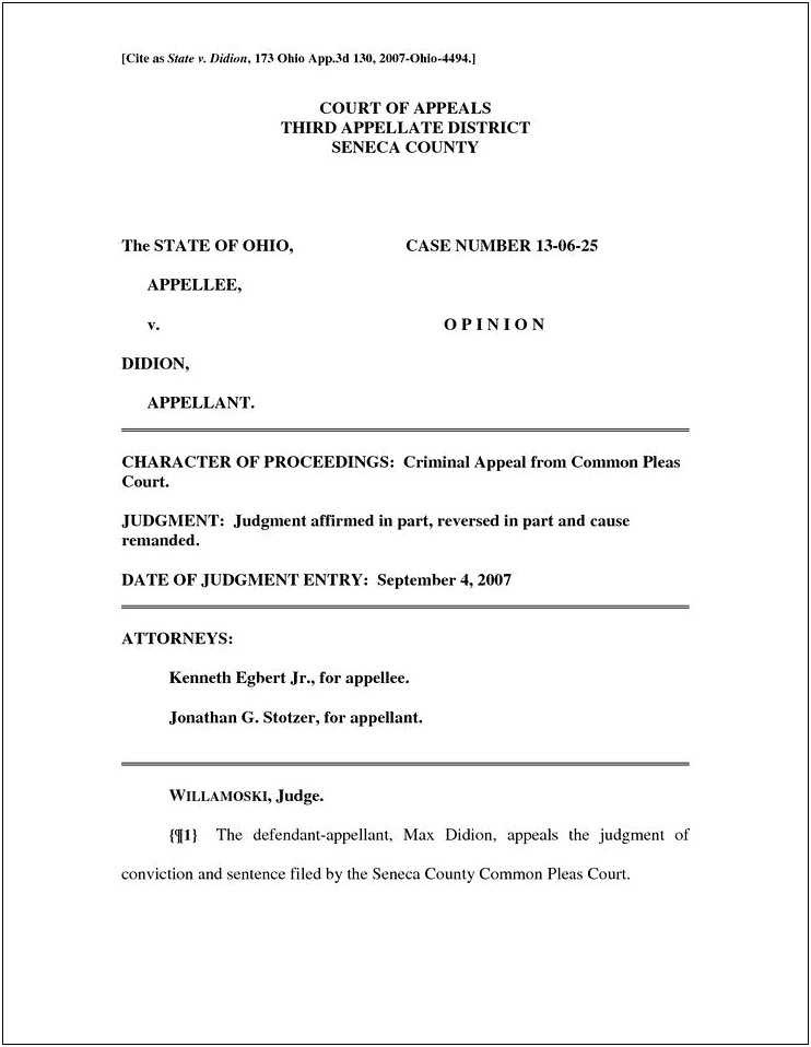 Character Reference Letter For Immigration Court Template