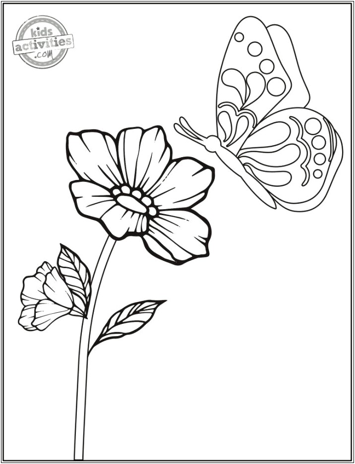 Coloring Book Template Children Letter Size