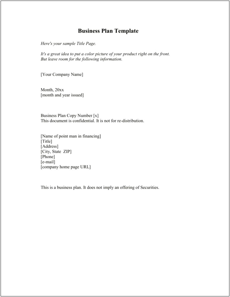 Copy Of A Business Plan Template