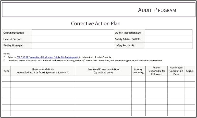 Corrective Action Plan Template Financial Segregation Of Duties