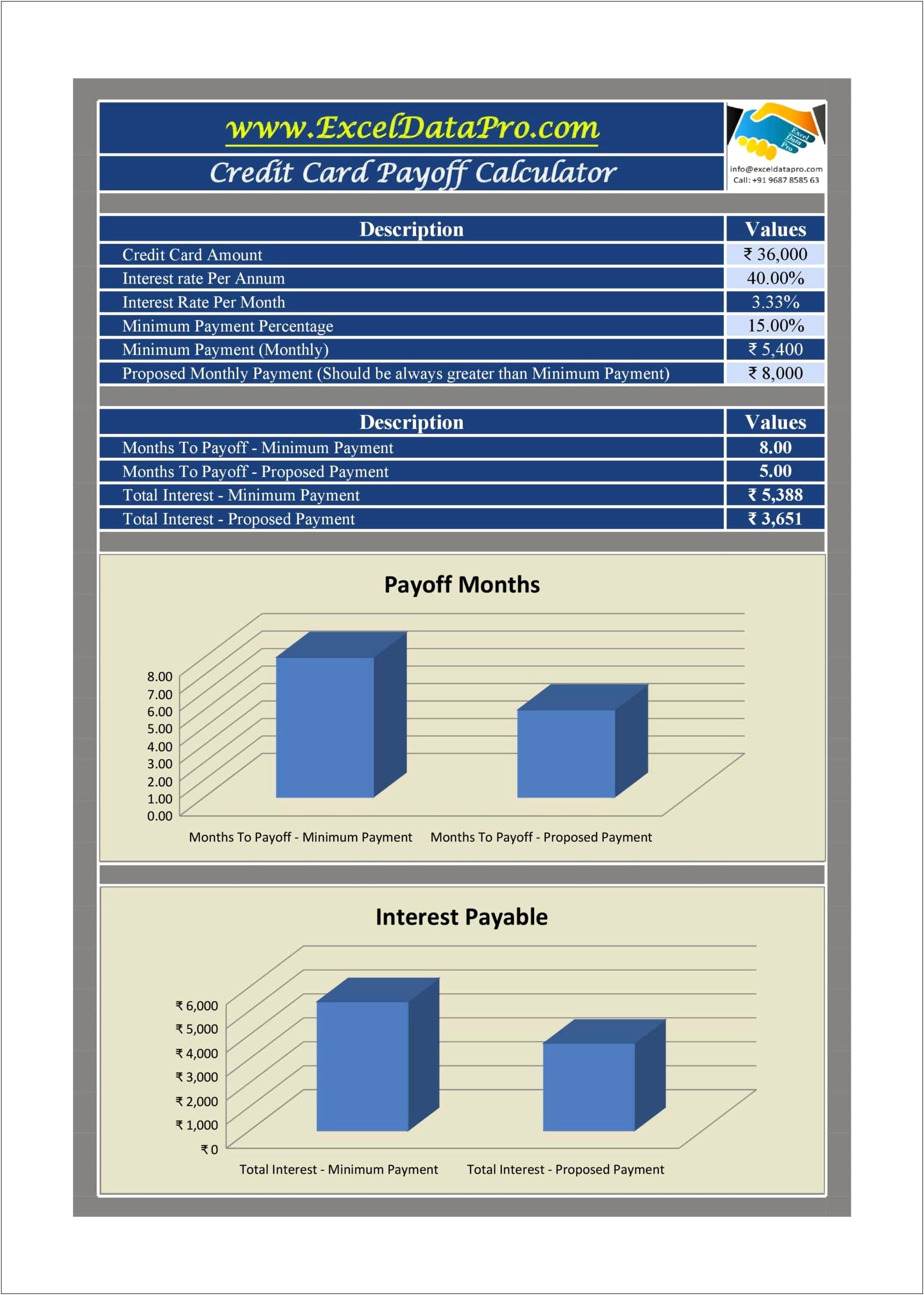 Credit Card Payment Plan Excel Template