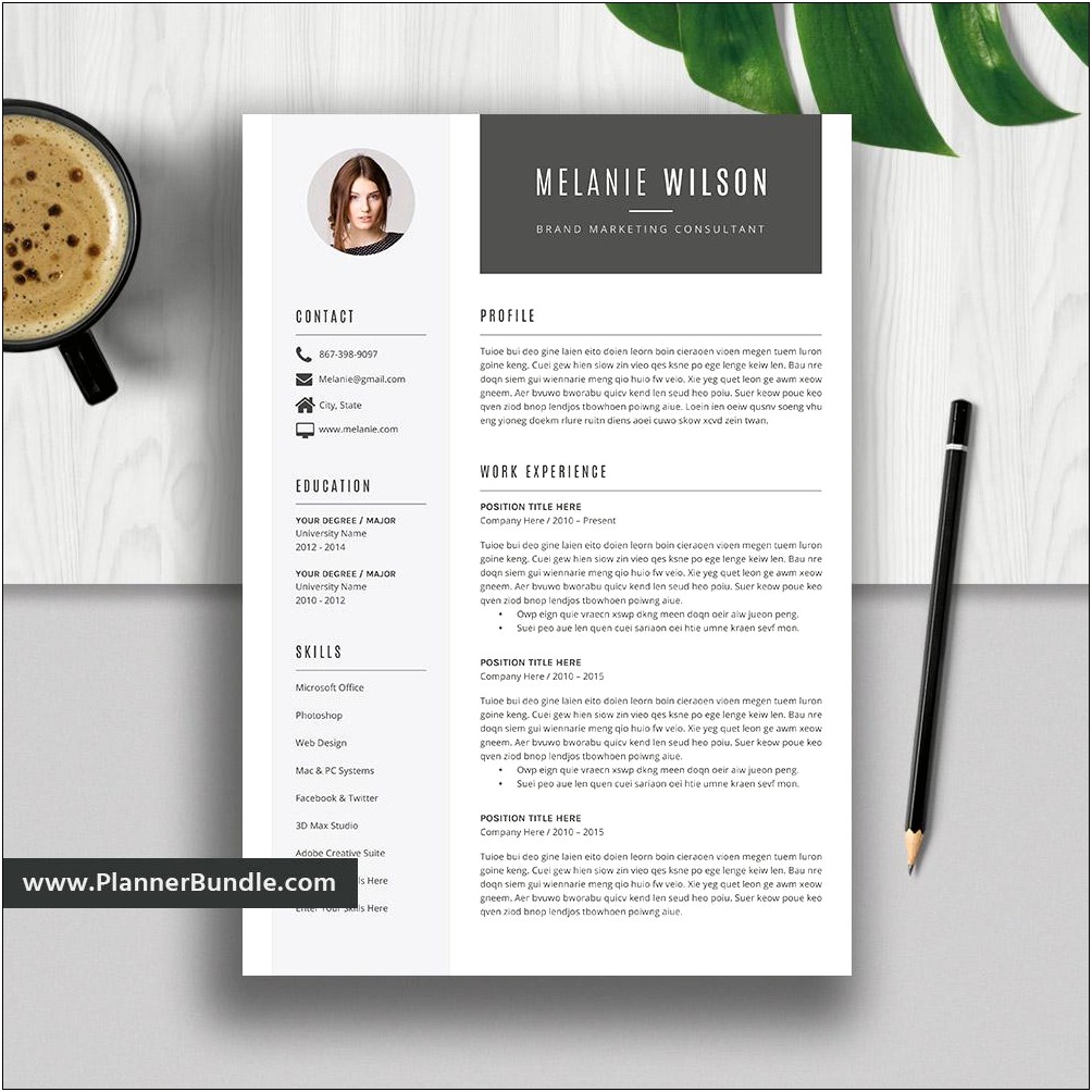 Curriculum Vitae Template On Microsoft Word