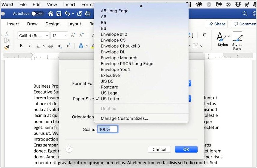 Default Page Size For Word Templat
