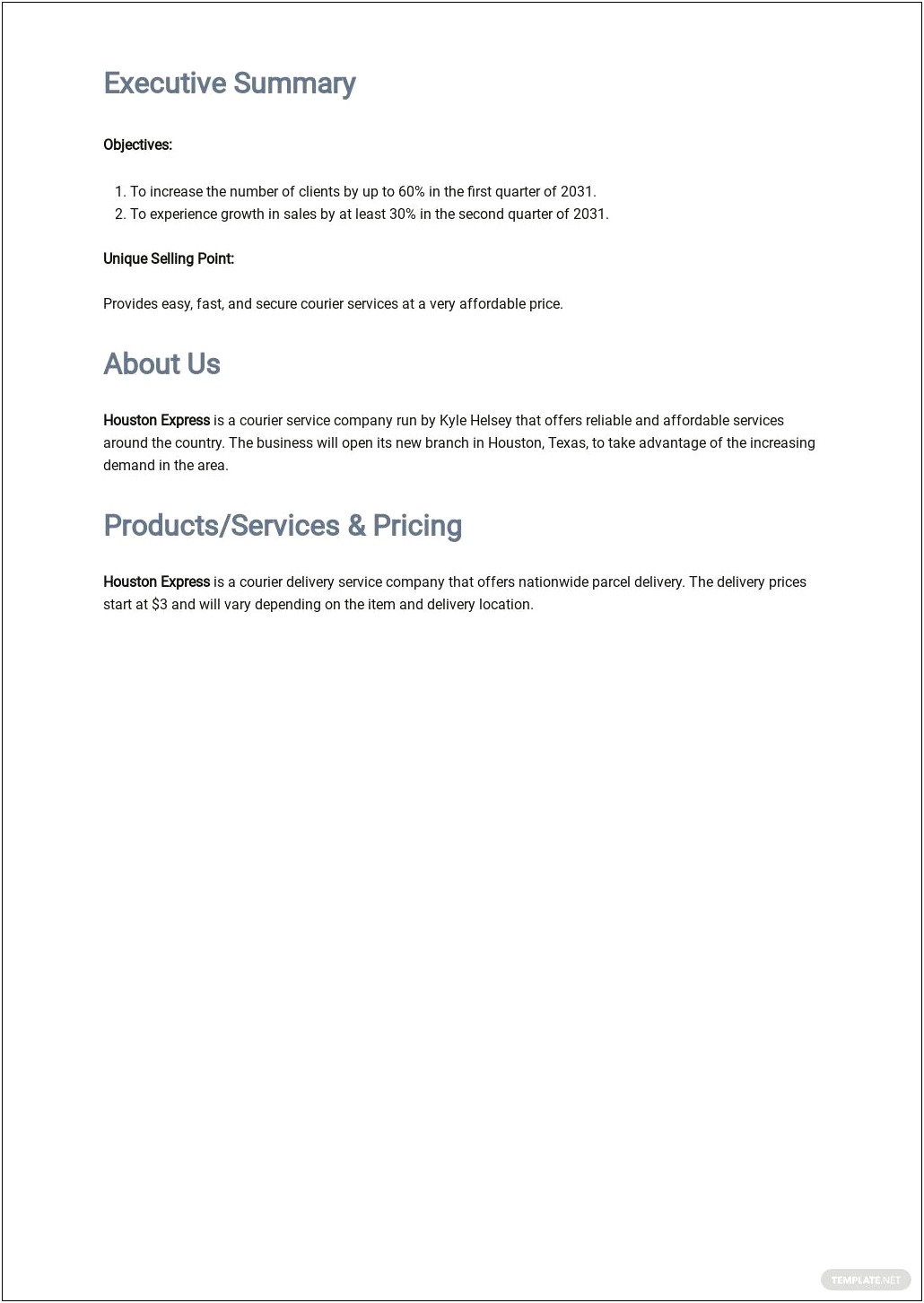 Delivery Service Business Plan Template Pdf