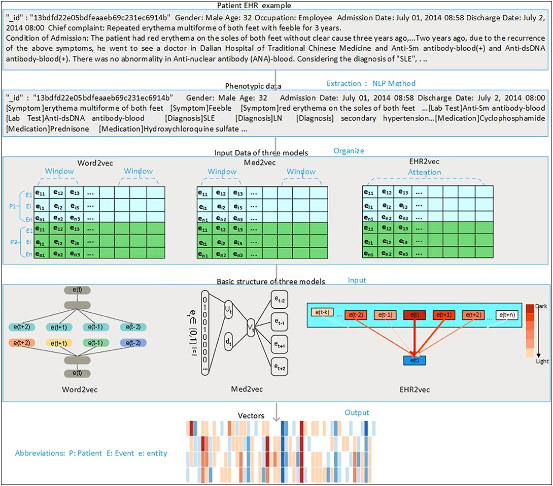 Diabetes Management Plan Template Ehr Note