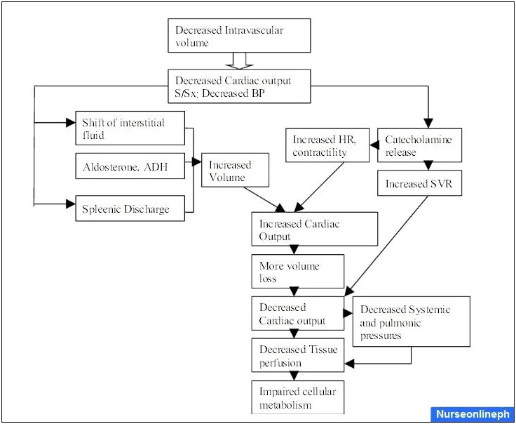 Download Concept Map Template For Hypovolemic Shock