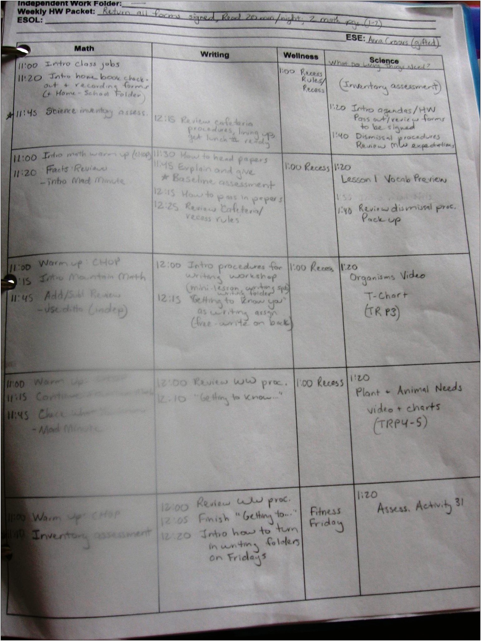 Elementary School Music Lesson Plan Template