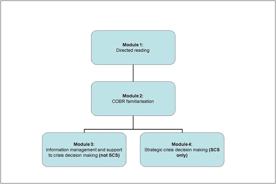 Emergency Action Plan Flow Chart Template