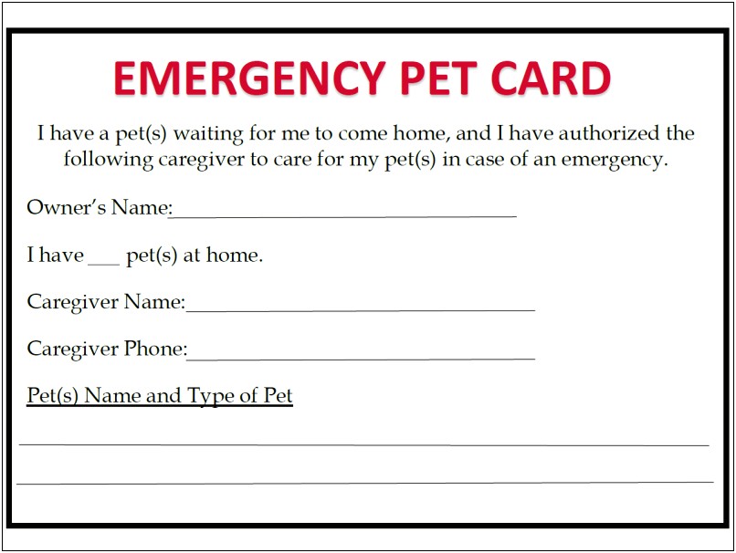 Emergency Pet Info Card Template Word