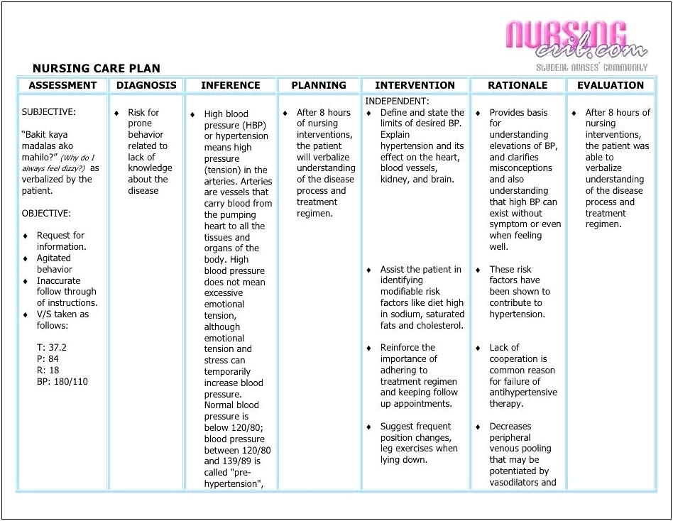 End Of Life Nursing Care Plan Template