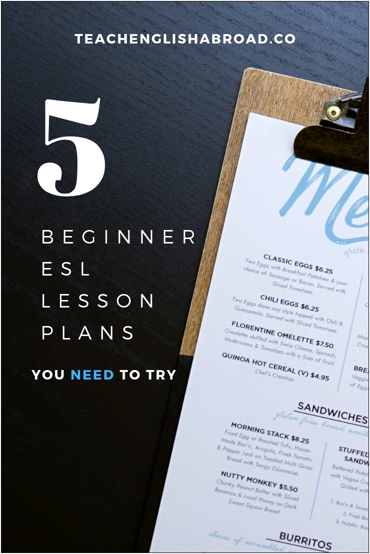 Esl Co Teaching Lesson Plan Template