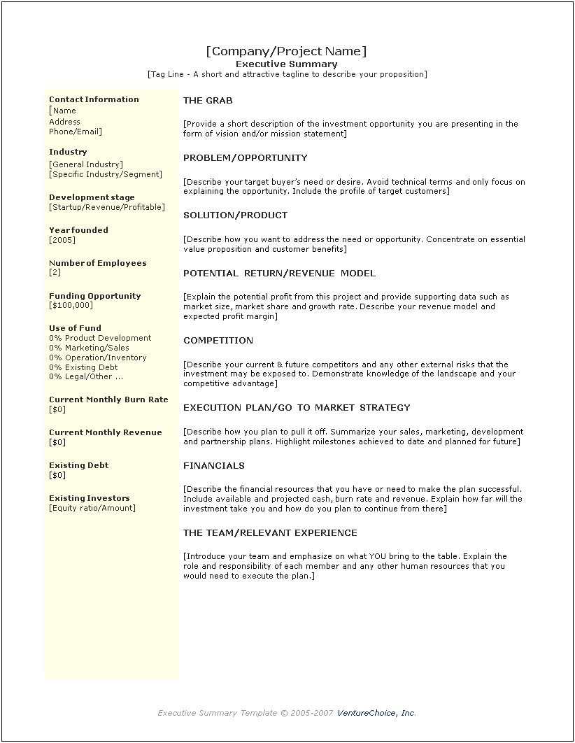 Executive Summary For A Business Plan Template