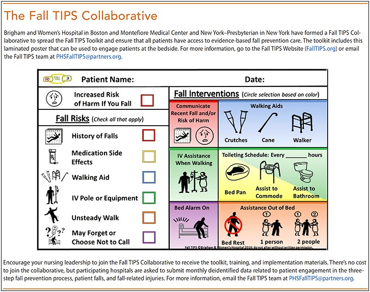 Fall Prevention Plan Template For Elderly