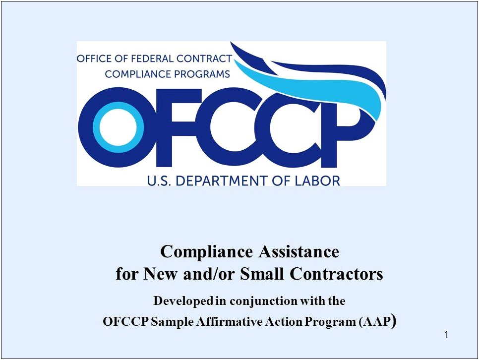 Federal Contractor Affirmative Action Plan Template