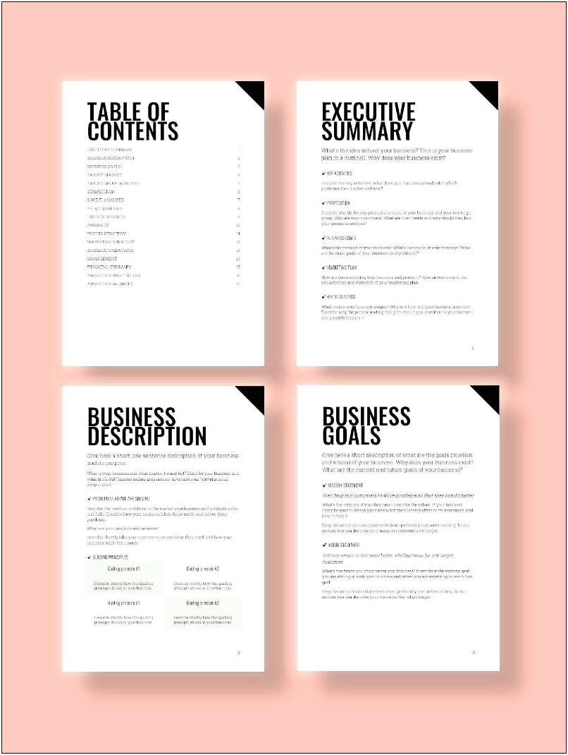 Financial Industry Business Plan Template Google Docs