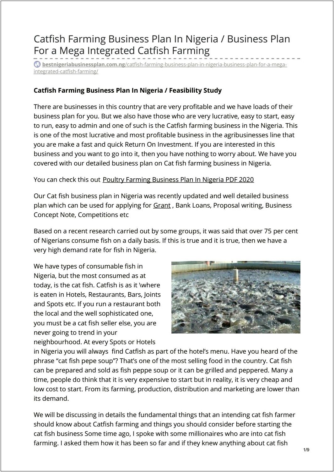 Fish Farming Business Plan Template Pdf