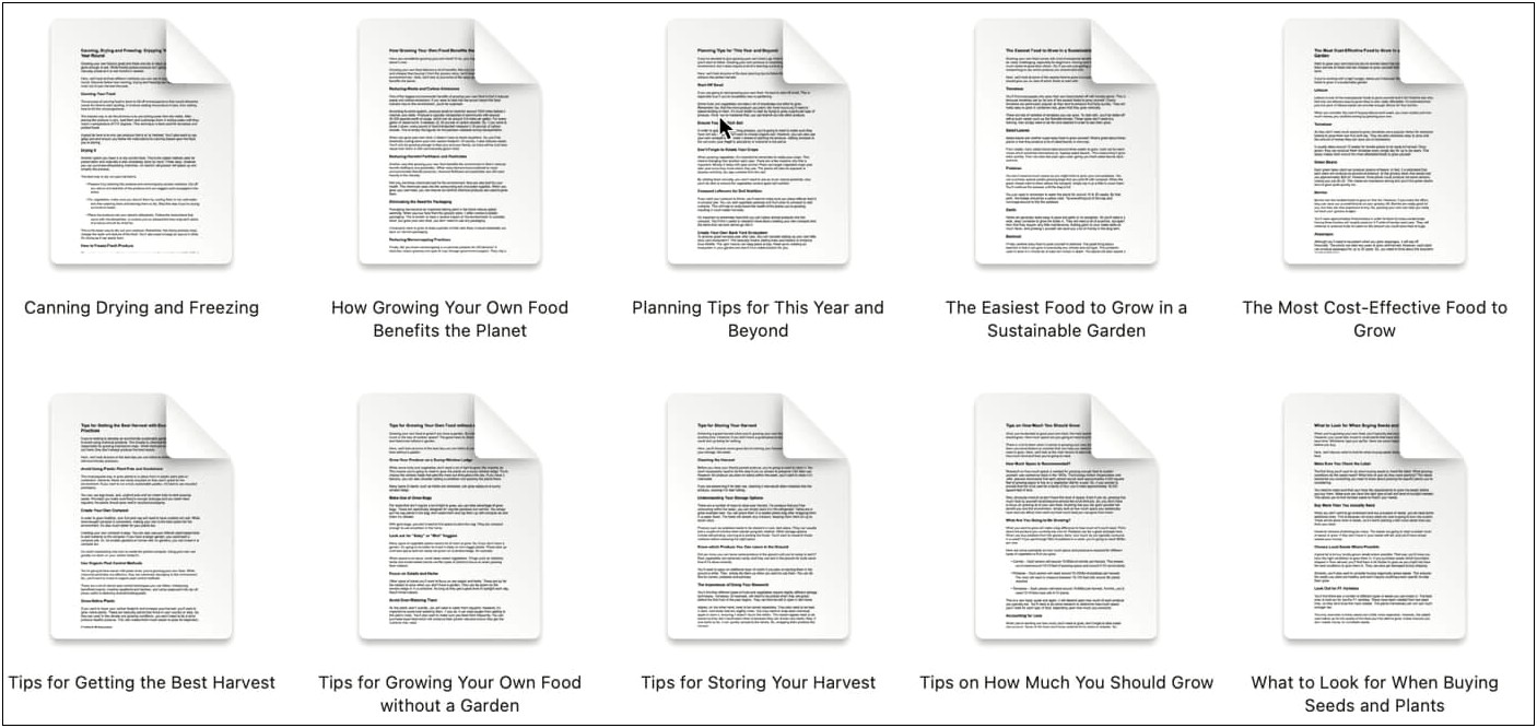 Food Product Business Plan Template Plr