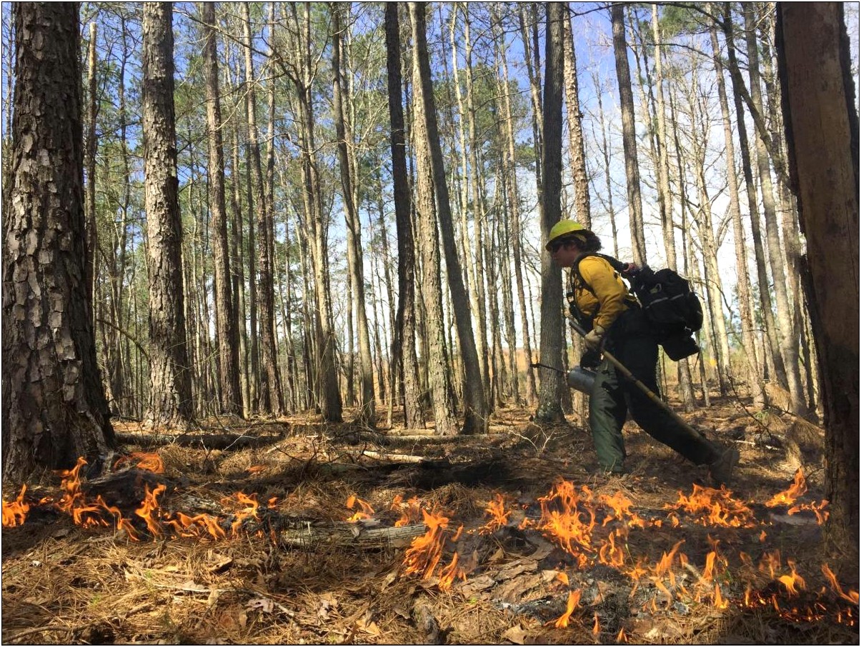 Ga Forestry Commission Burn Plan Template