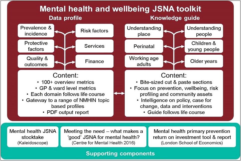 Gp Mental Health Care Plan Template