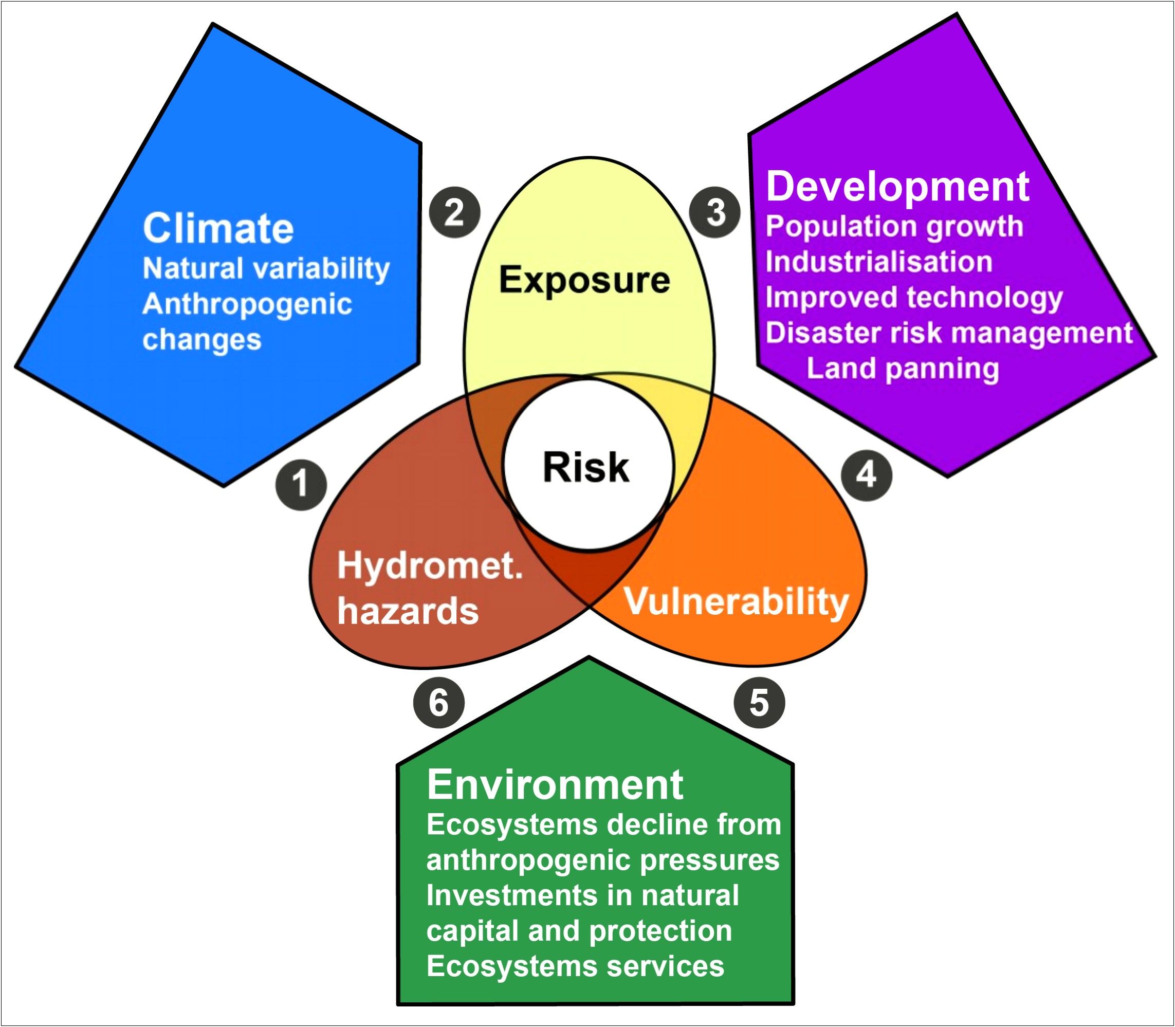 Habitat For Humanity International Disaster Planning Guide Template