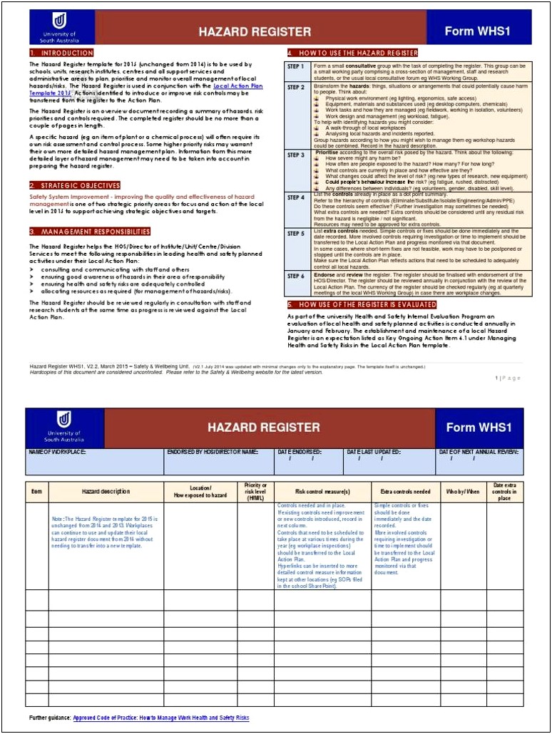 Health And Safety Local Action Plan Template