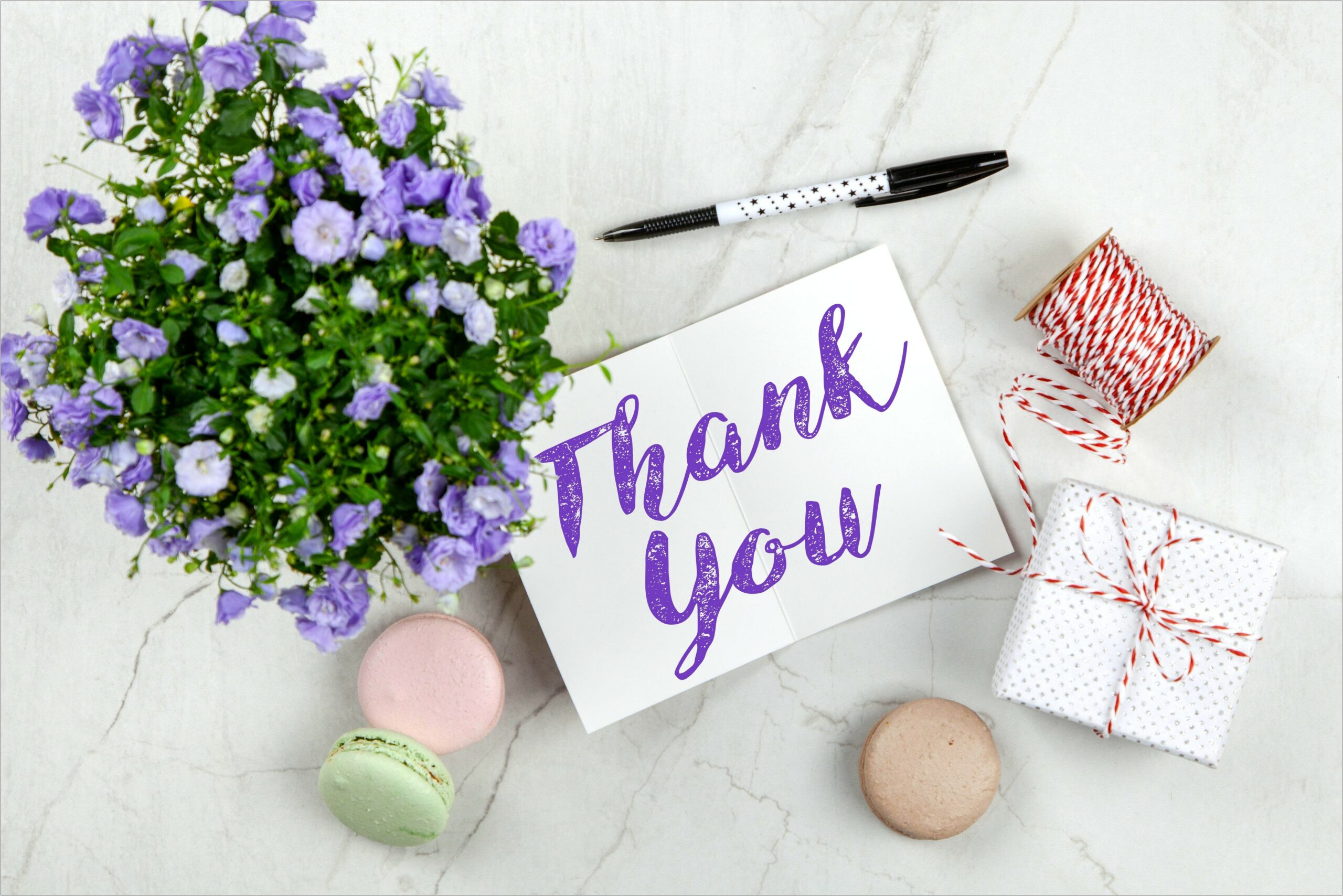 Heartfelt Thank You Formal Letter Template