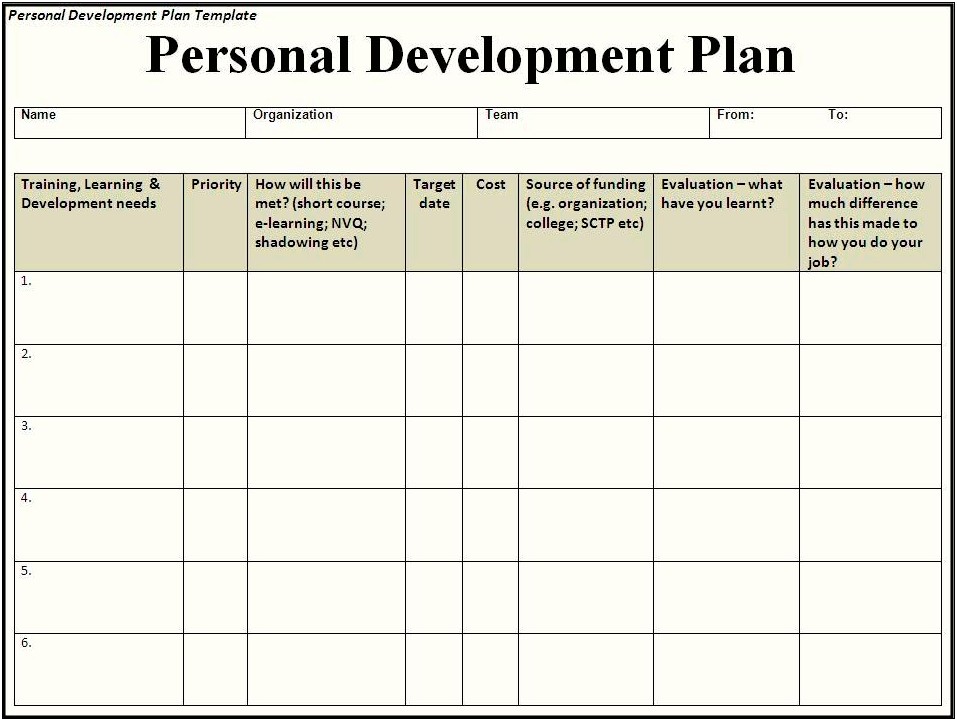 Individual Development Plan Template For Professionals