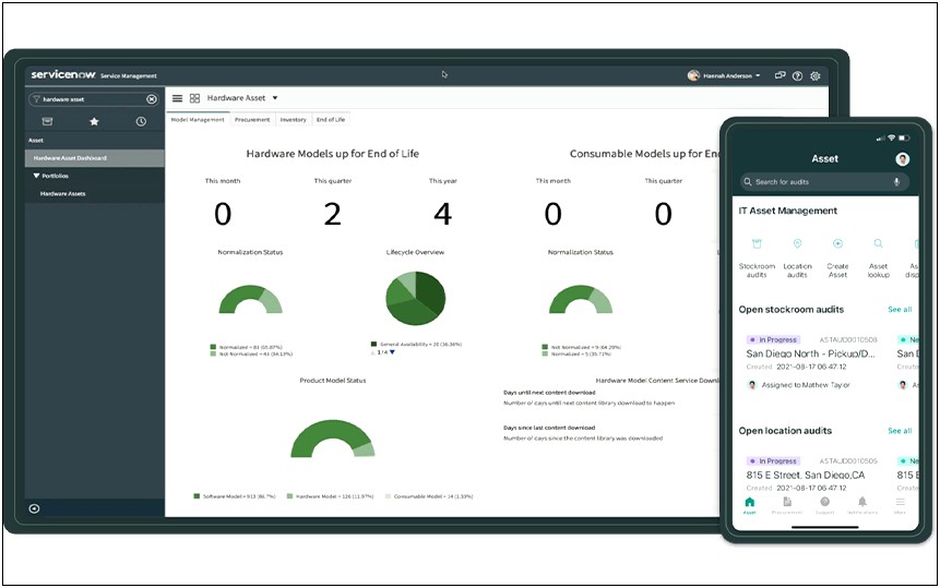 Information Technology Asset Management Plan Template