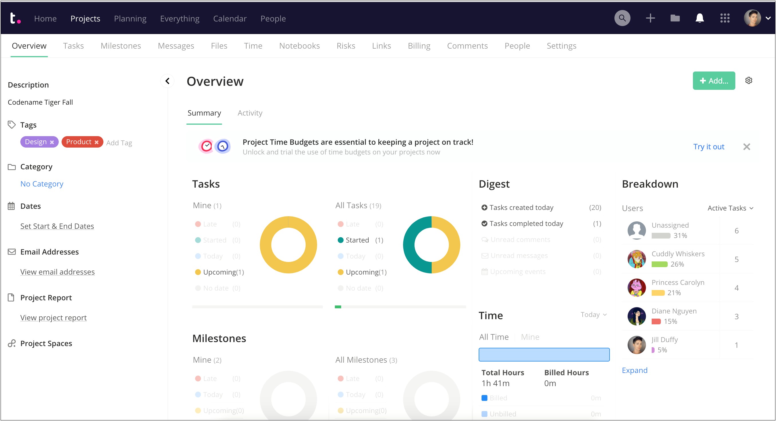 Information Technology Project Management Plan Template