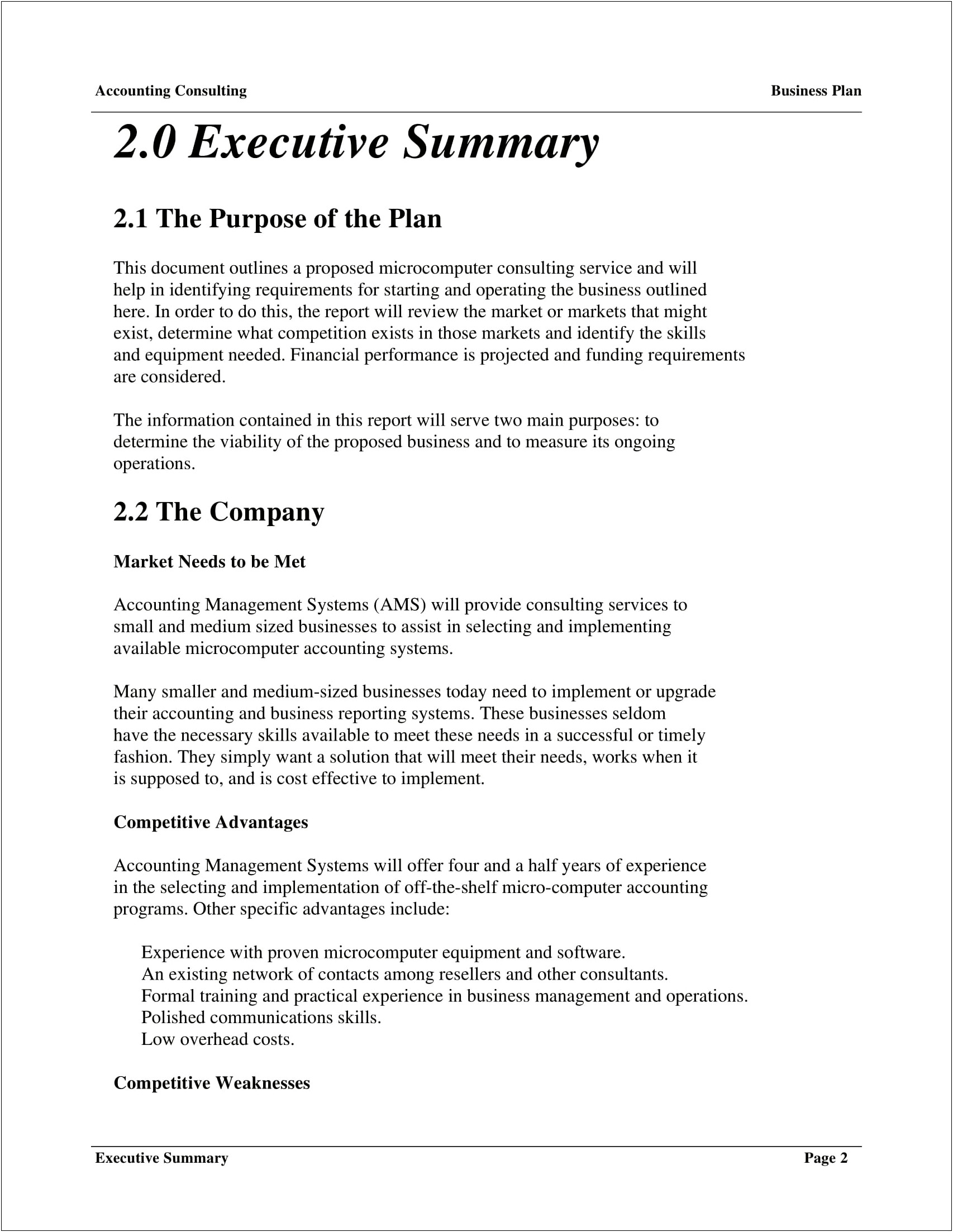 It Consulting Services Business Plan Template