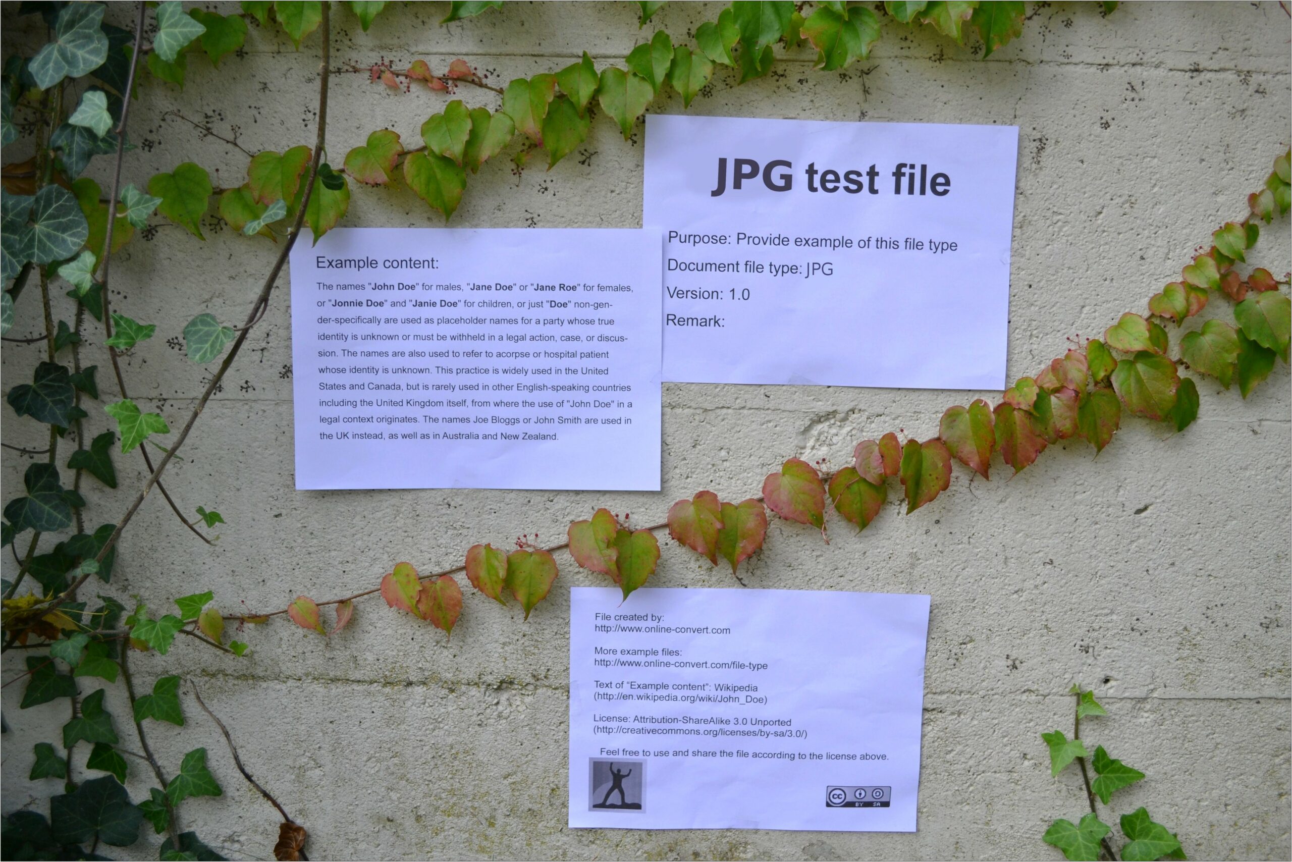 Jpg File Format Image Download In Template