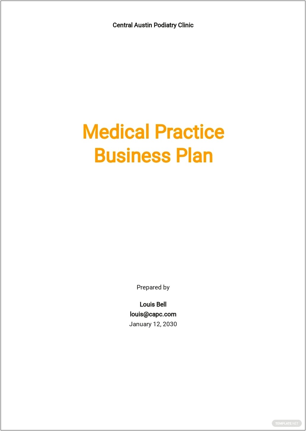 Law+firm+practice+group+business+plan+template