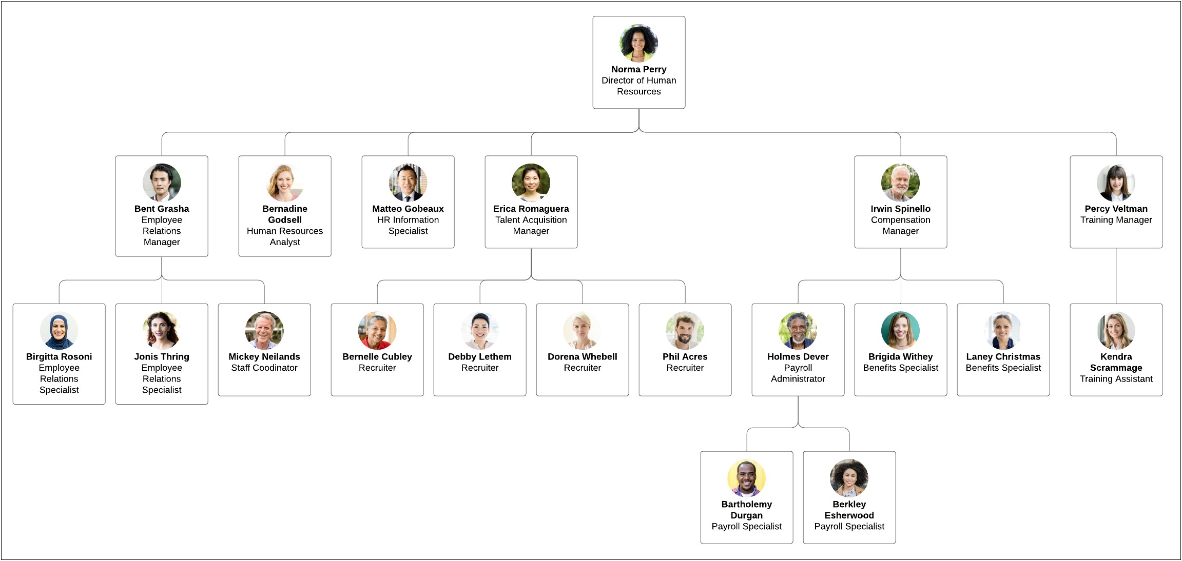 Learning And Development Organizational Chart Template Word