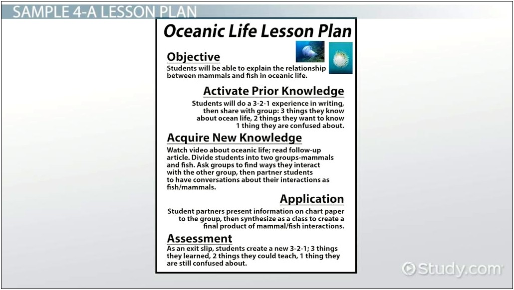 Learning Focused Acquisition Lesson Plan Template