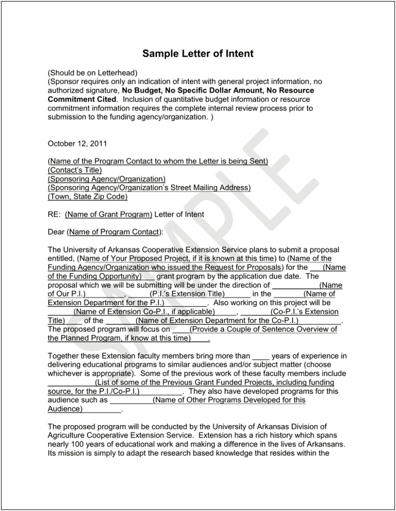 Letter Of Intent For Grant For Research Template