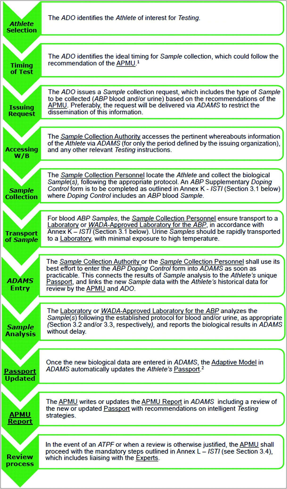 Letter Of Intent Template For Rtp