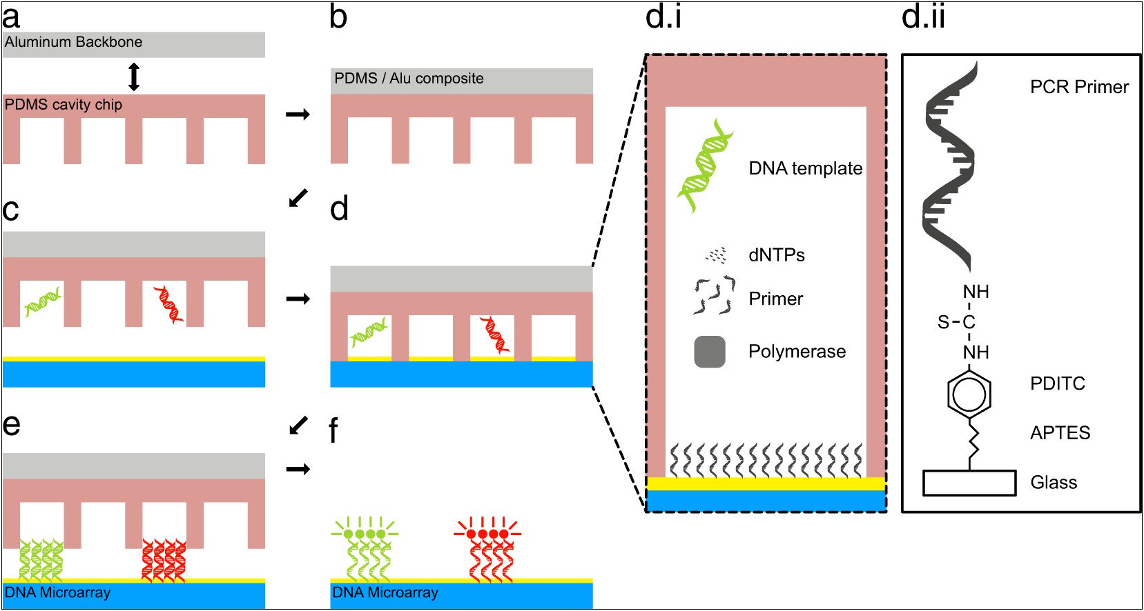 Letter Of Medical Necessity Template Genetic Testing Microarray