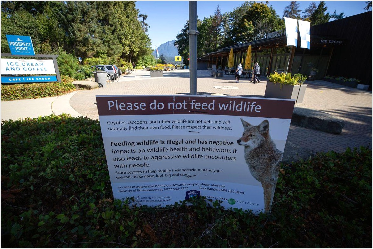 Letter Template Do Not Feed Wildlife Cats California