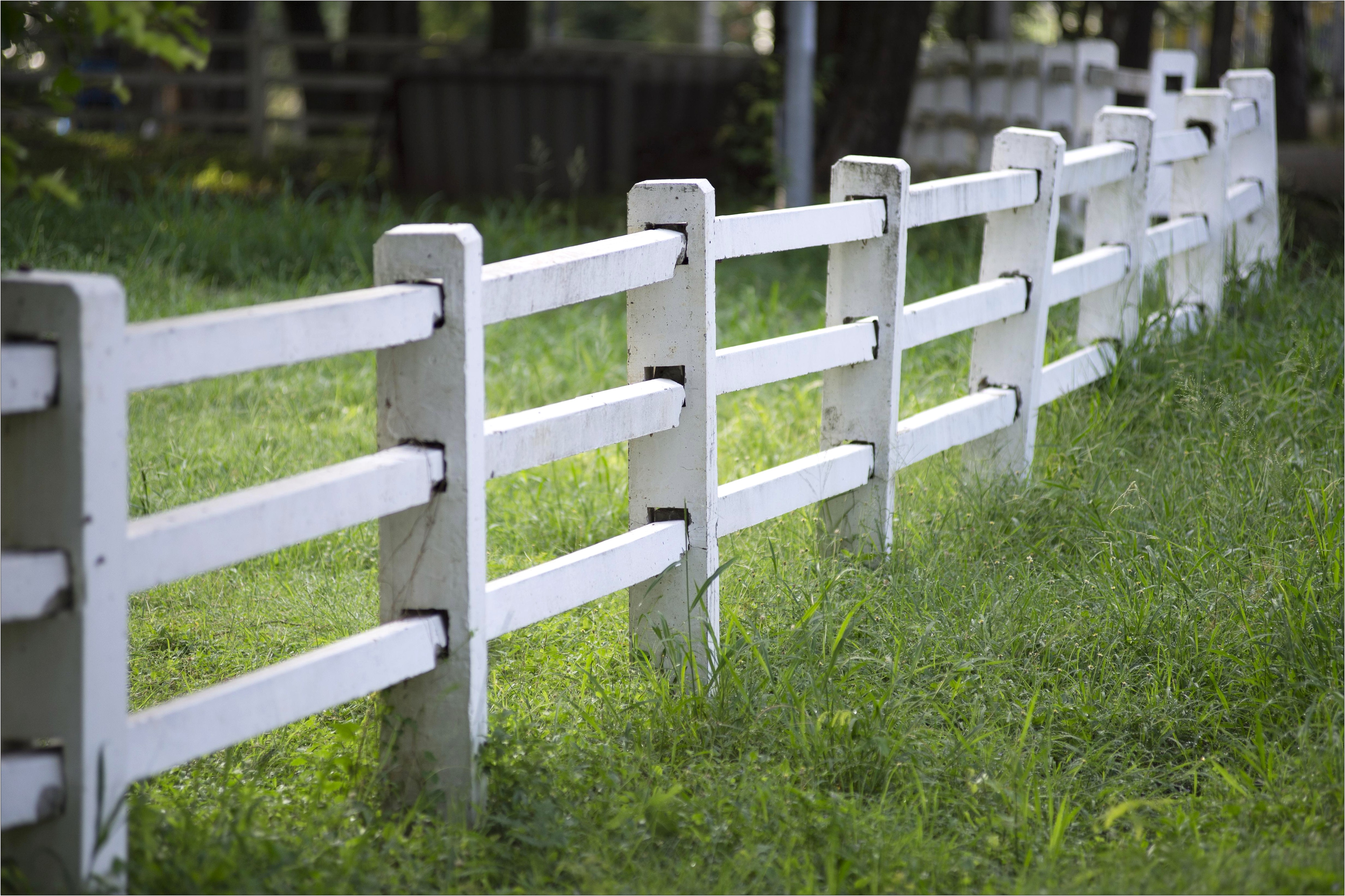 Letter To Neighbours About Fence Template