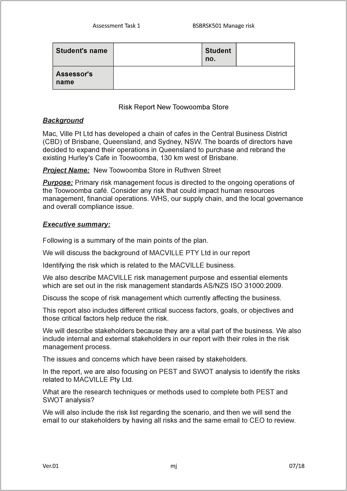 Macville Risk Treatment Action Plan Template