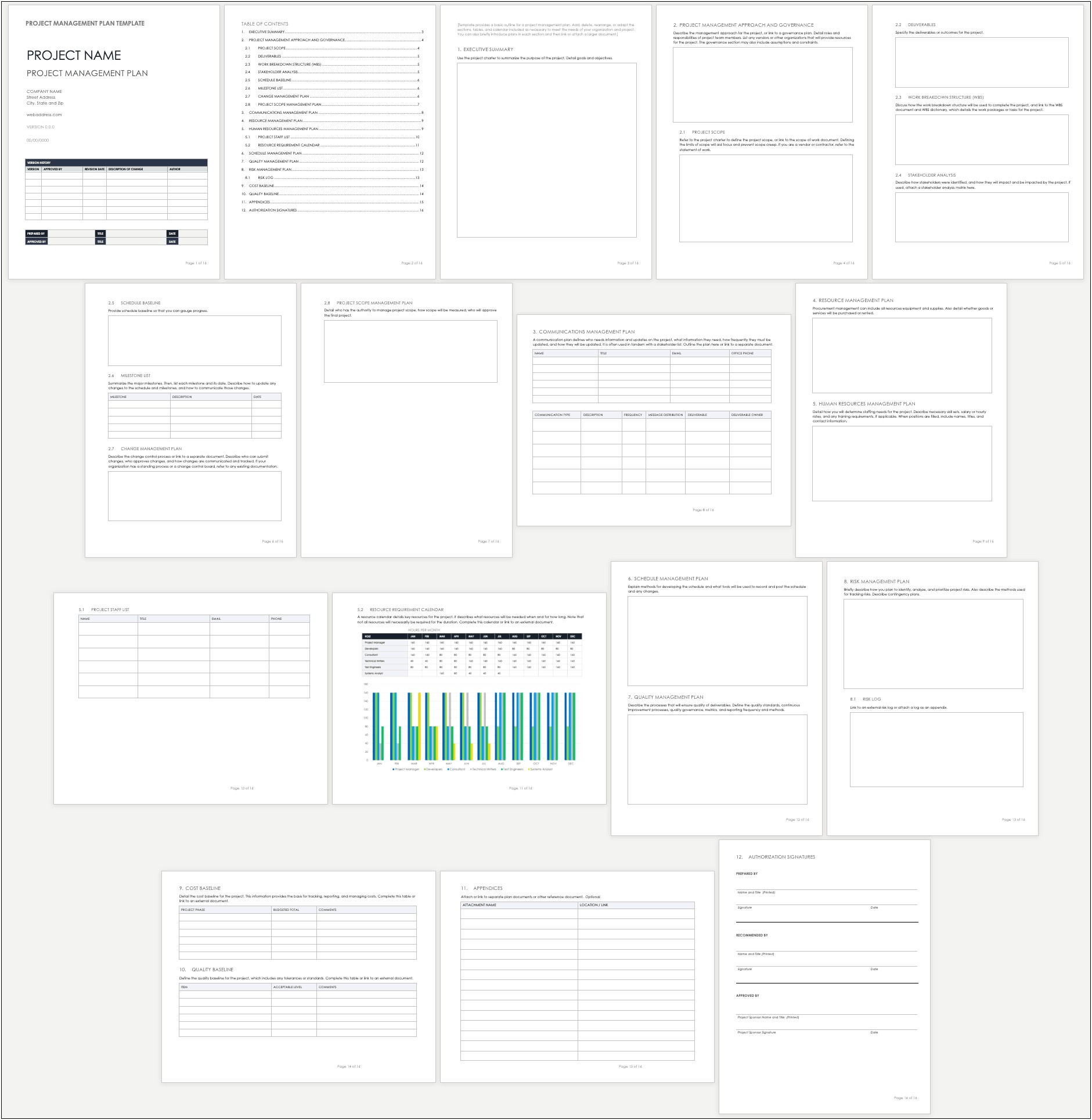 Management Strategy Template In A Project Plan