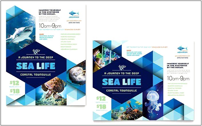 Marine Life Pamphlets Templates Word Free