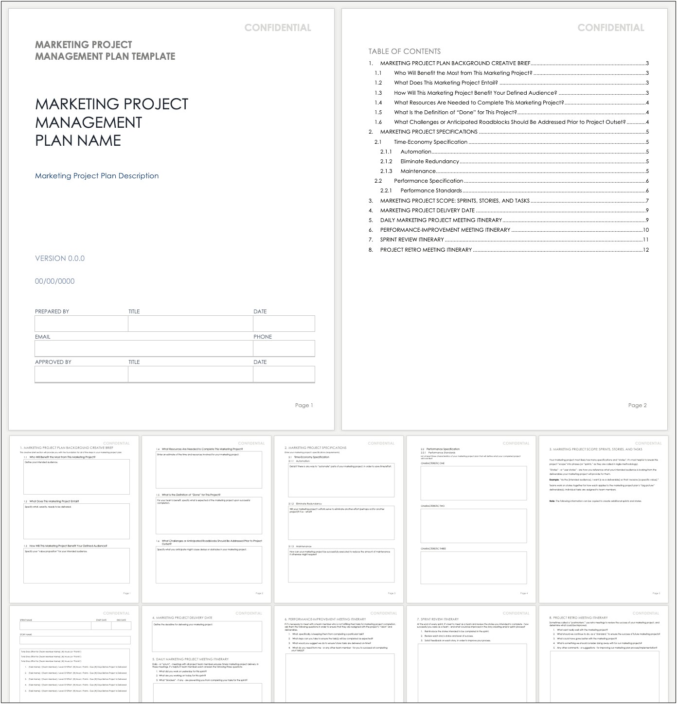 Marketing Project Plan Template For Professional Services