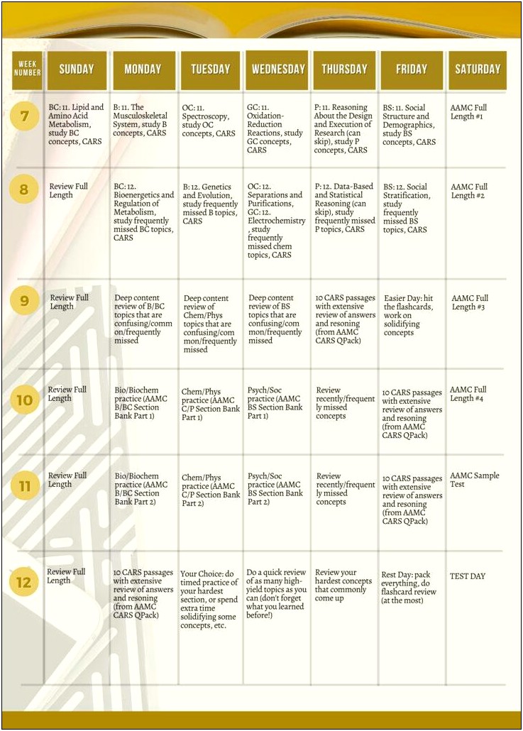 Mcat Study Plan 6 Months Template