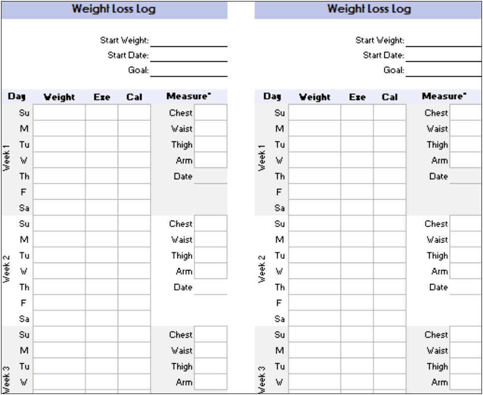 Meal Plan And Workout Schedule Template Excel