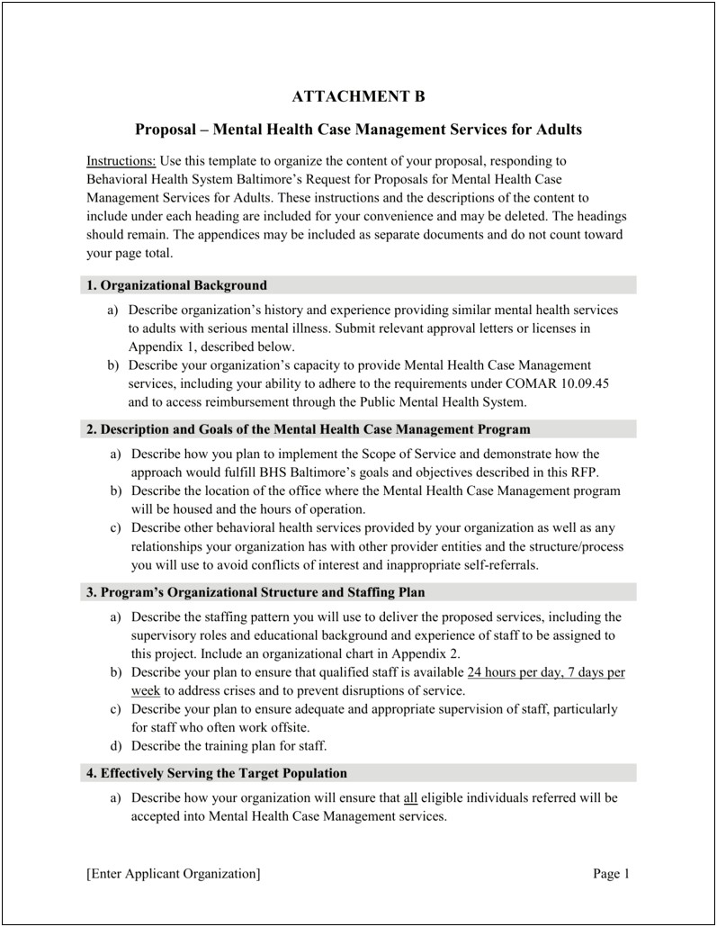 Mental Health Case Management Plan Template