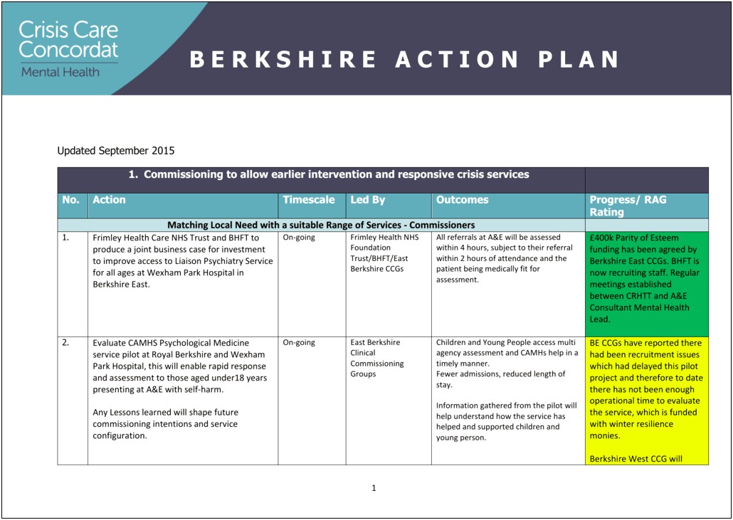 Mental Health Crisis Action Plan Template Mayo Clinic