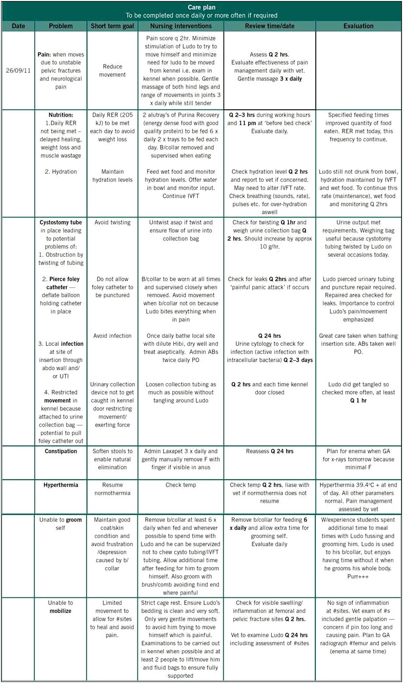 Mental Health Nursing Care Plan Template